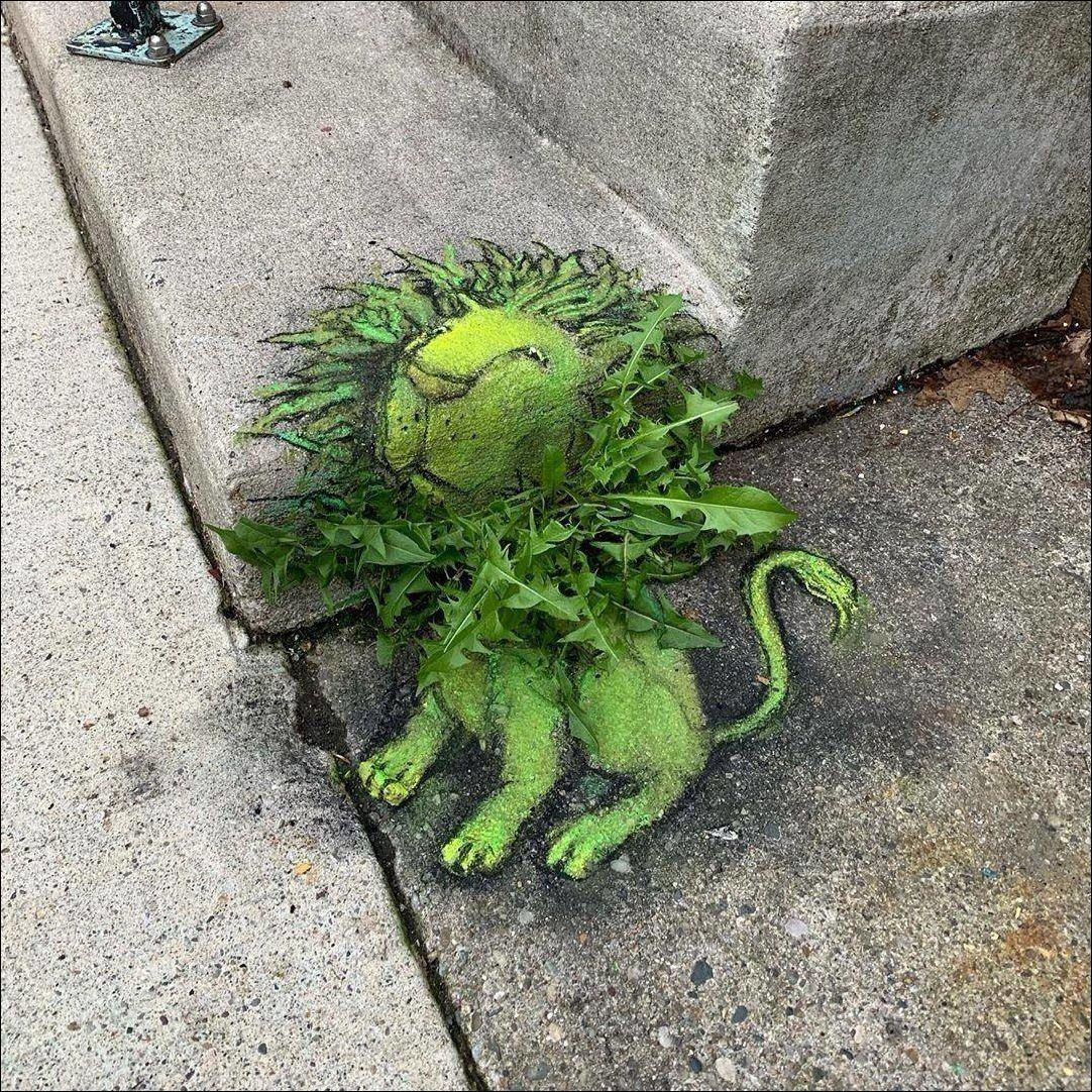 Dandelion lion - Street art, a lion, Creative, From the network, 