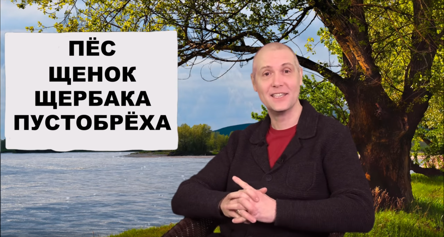 Где же псобака порылась? | Пикабу