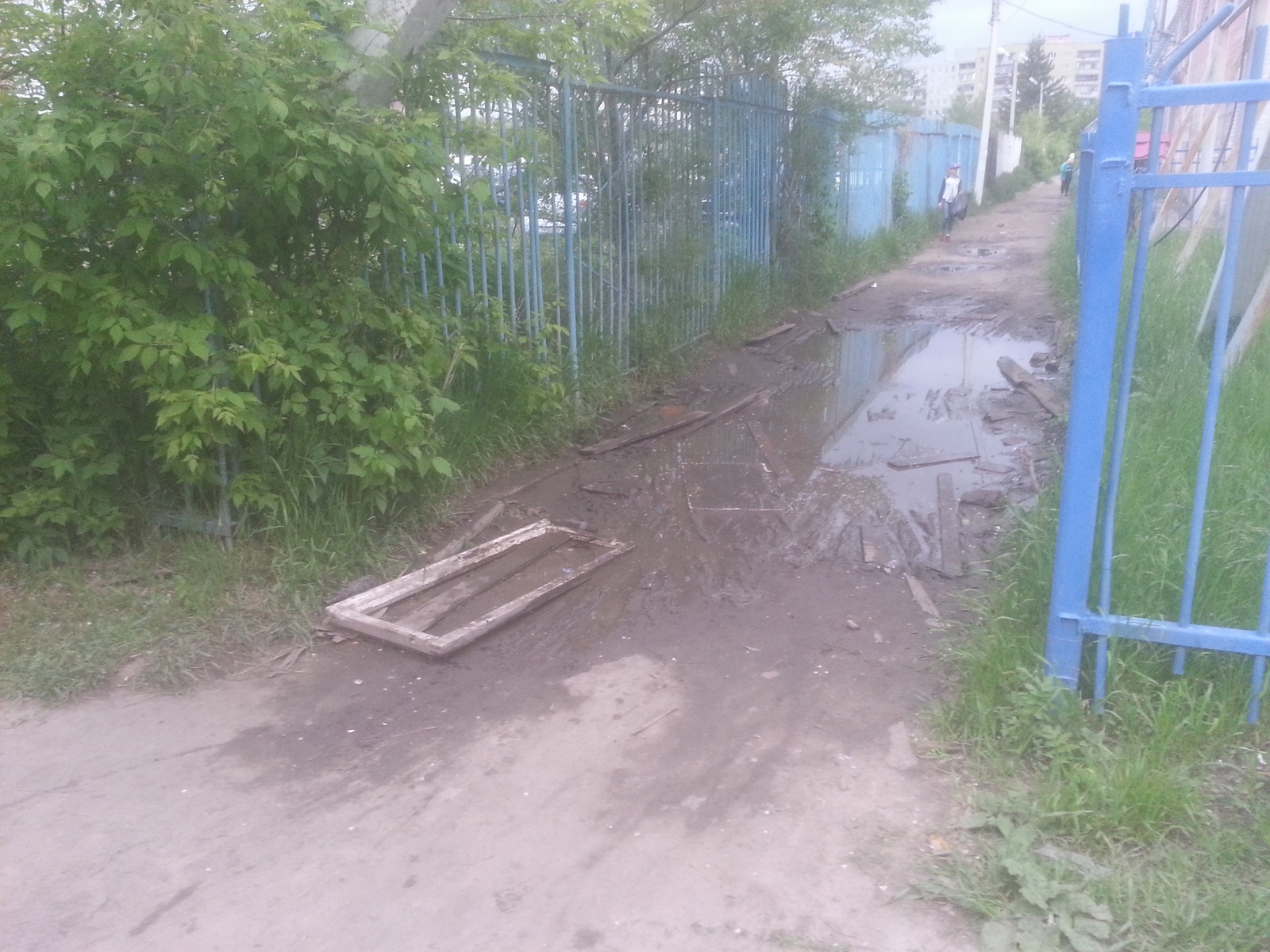 Omsk swamp - an obstacle course for a while! - My, Omsk, Don't try to leave Omsk, , Administration, Longpost