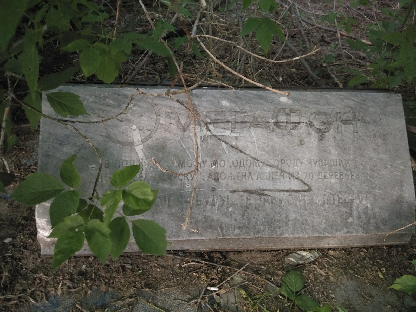 Megaphone grave - My, Megaphone, Advertising