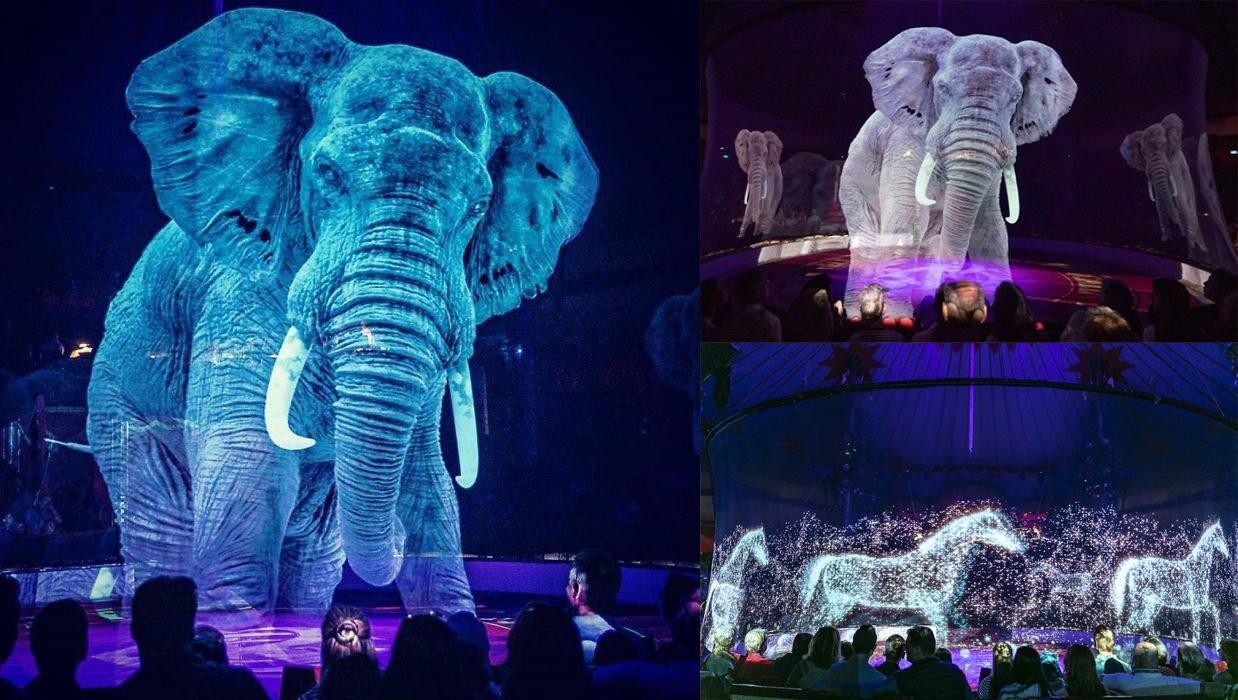 German circus uses holograms instead of live animals. And it's cool. - Reddit, Circus, Hologram, Germany, Hamburg