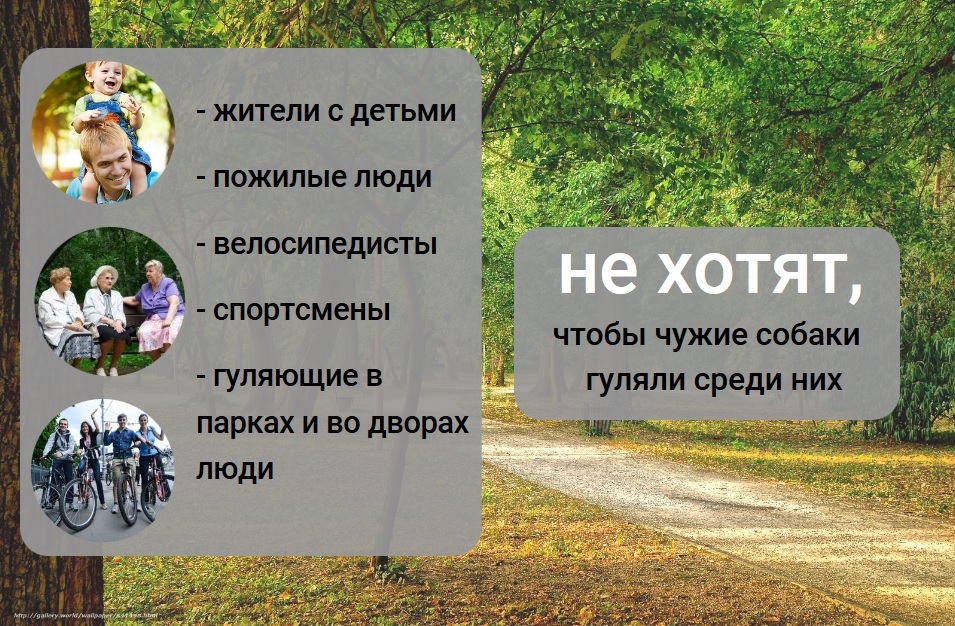 Зачем городу места для выгула собак - Моё, Собака, Инициатива, Выгул, Длиннопост