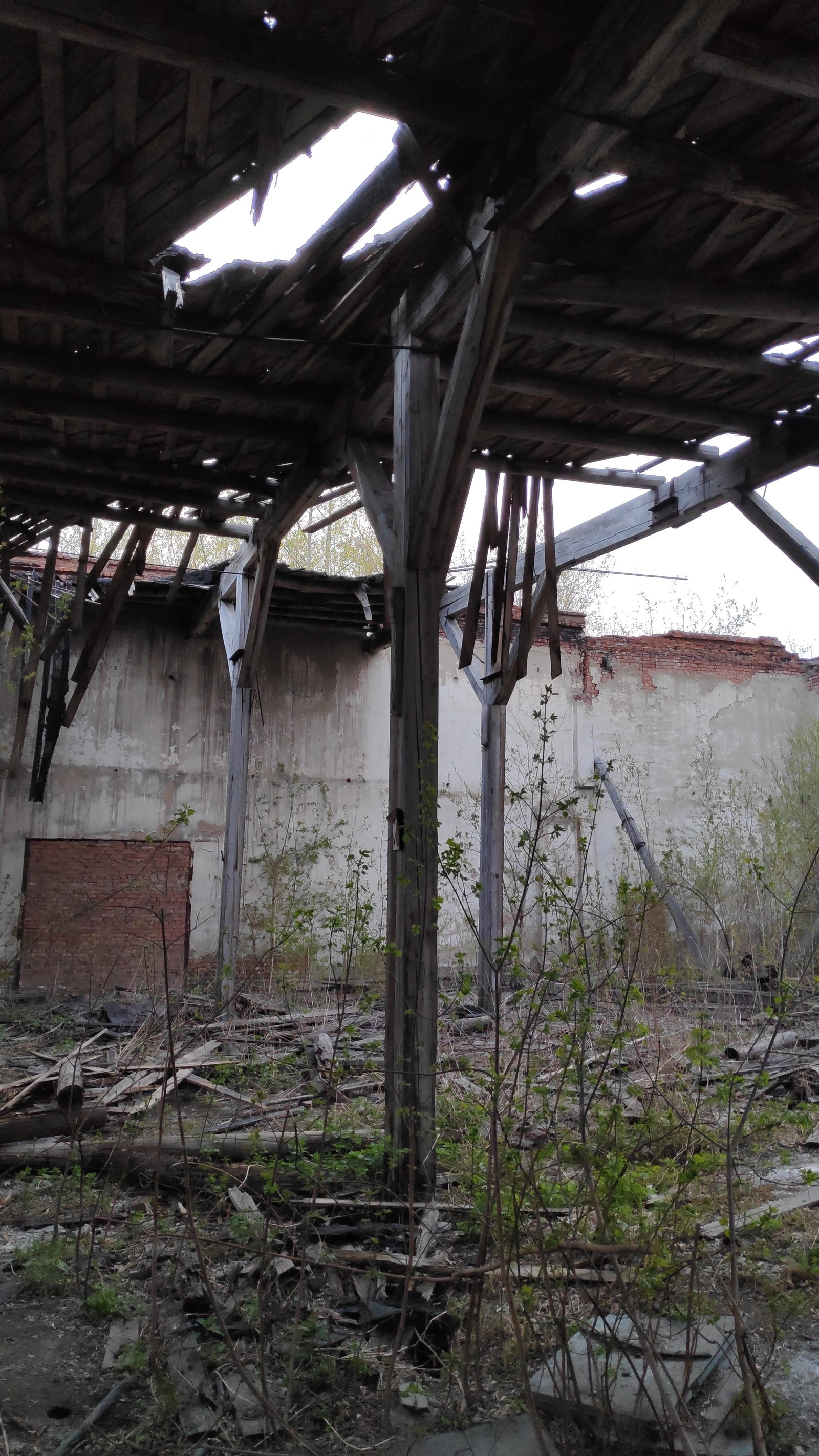 Cycling through abandoned places - My, Mobile photography, Pocophone F1, Spring, Longpost, Xiaomi