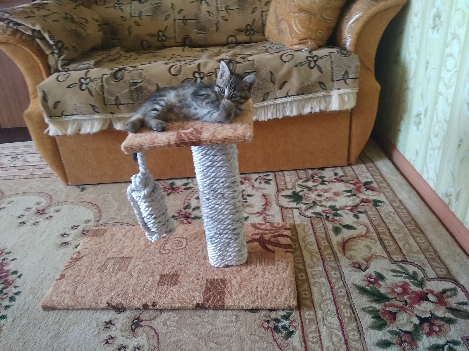 Made a cat scratching post - My, Catomafia, With your own hands, Scratching post, cat, Kittens