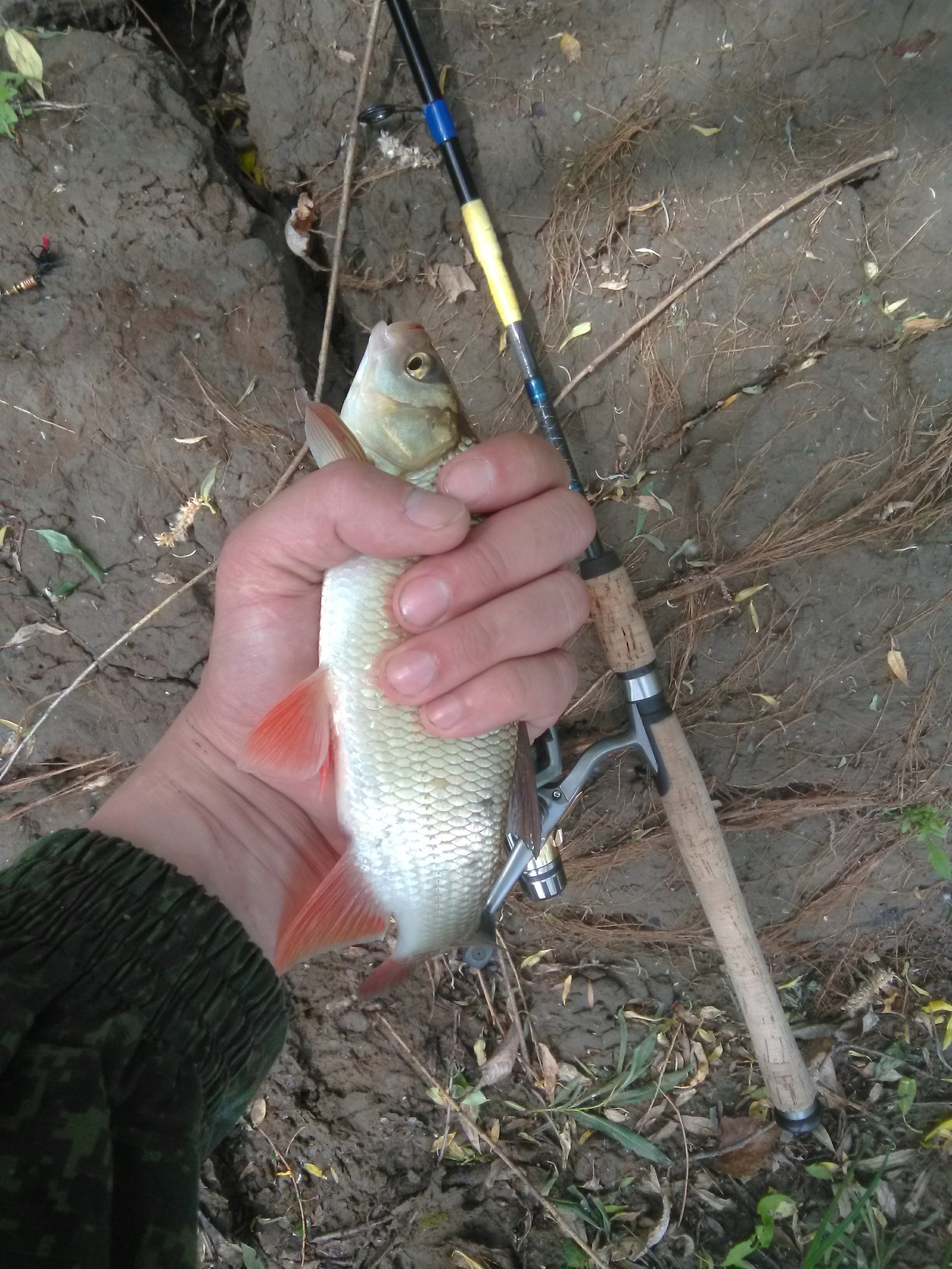 First time this season - My, River, Spinning, Ide, Longpost