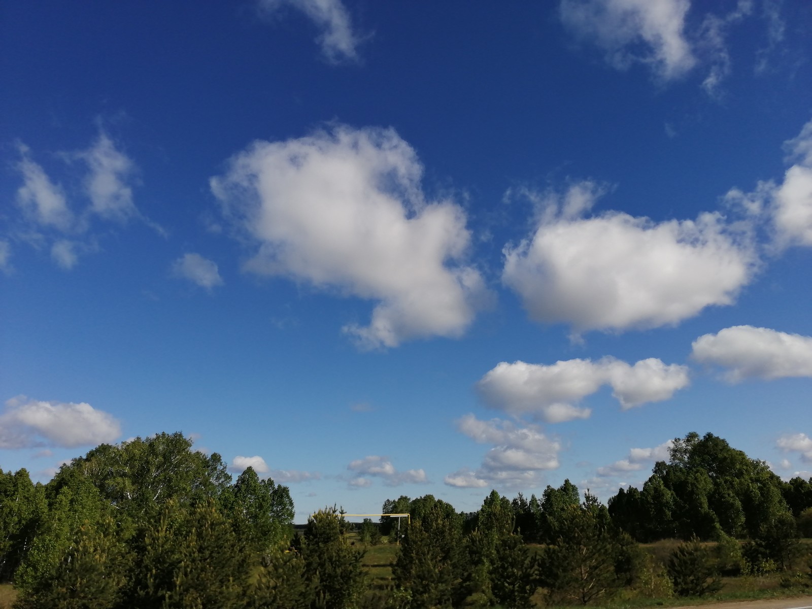 Camera test of my new Honor 8x phone. - My, Photo on sneaker, Nature, Longpost