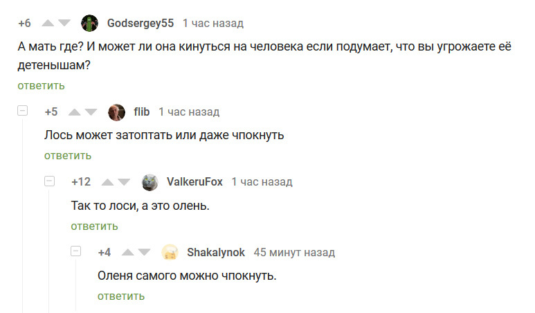 Comments on peekaboo - such comments! - Comments, Screenshot, Comments on Peekaboo