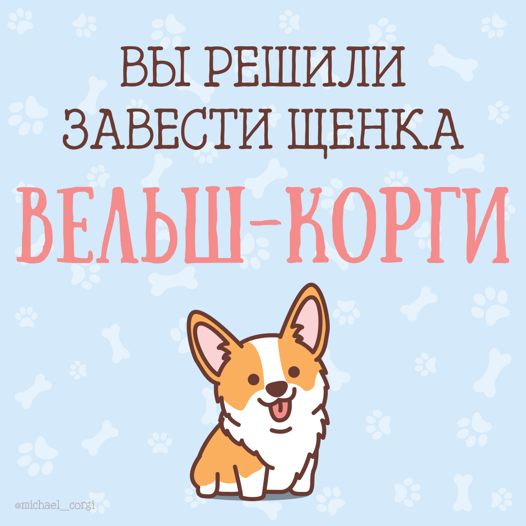 A guide for future owners of a Pembroke Welsh Corgi puppy - My, Corgi, Welsh corgi pembroke, Comics, Dog, Longpost