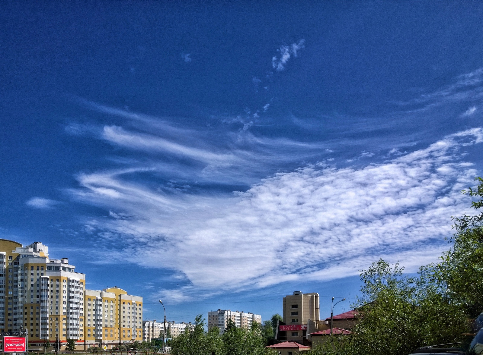 Neighborhood. - My, Walk, Surroundings, Kurortny district, The photo, Summer, Longpost