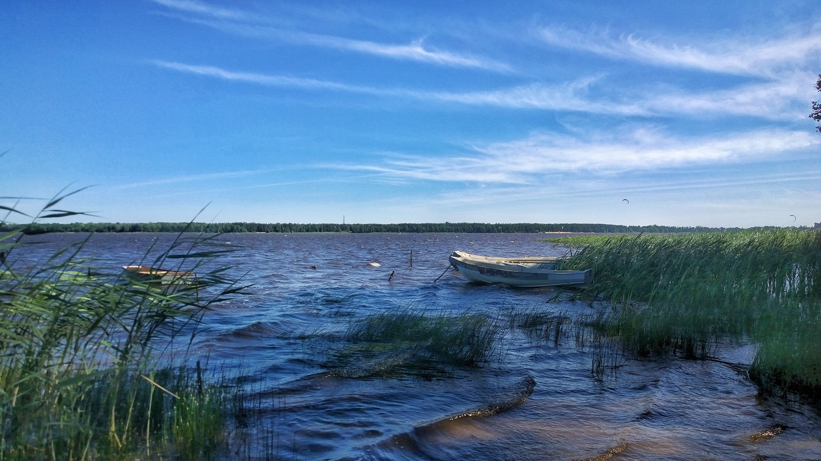 Neighborhood. - My, Walk, Surroundings, Kurortny district, The photo, Summer, Longpost