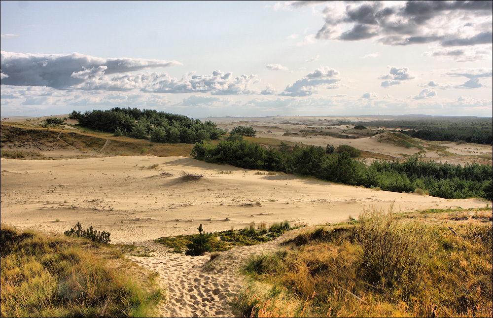 Photo walk: Curonian Spit, Russia - My, Photobritish, Travels, Russia, Curonian Spit, The photo, Desert, Longpost