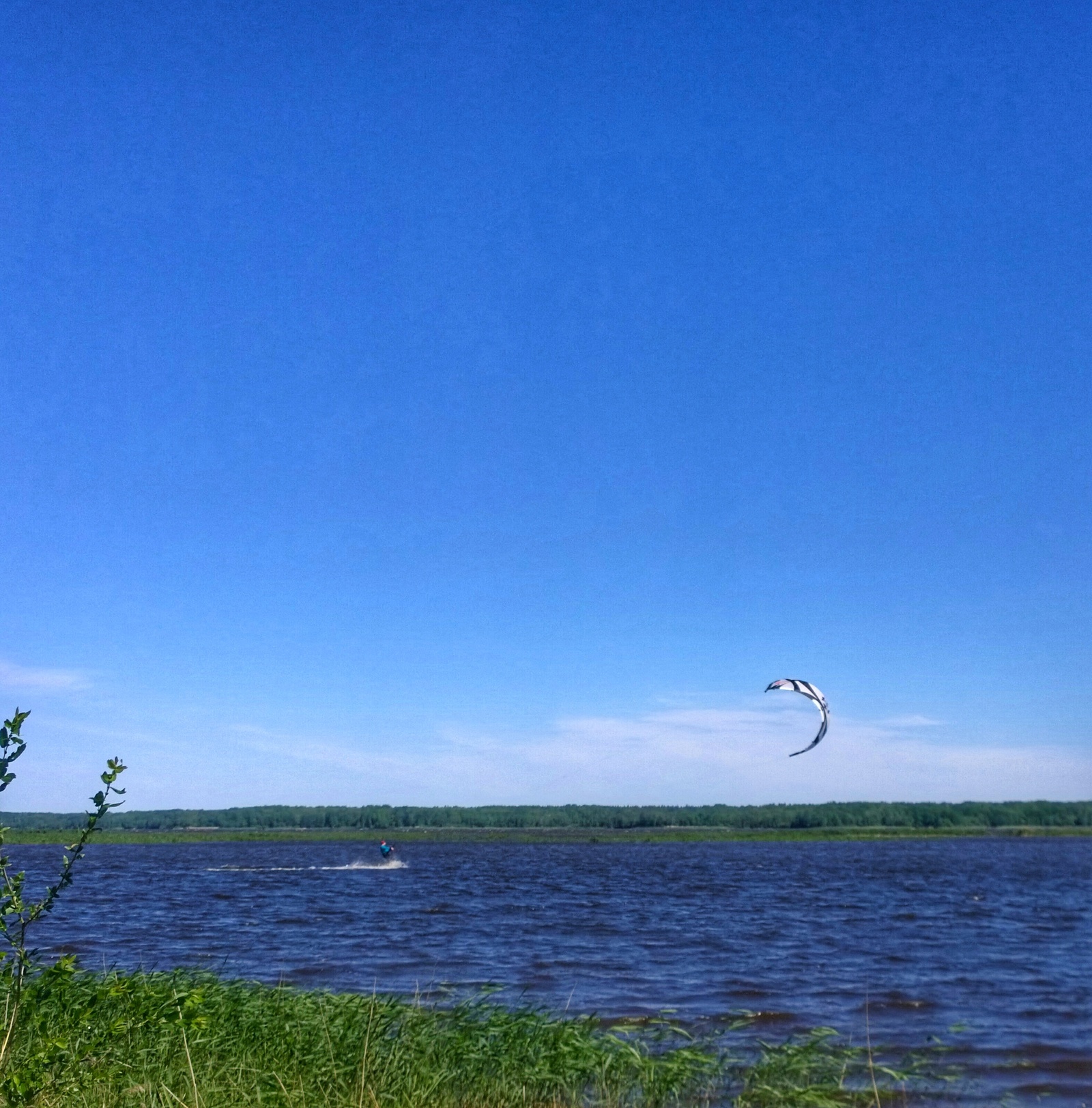 Neighborhood. - My, Walk, Surroundings, Kurortny district, The photo, Summer, Longpost