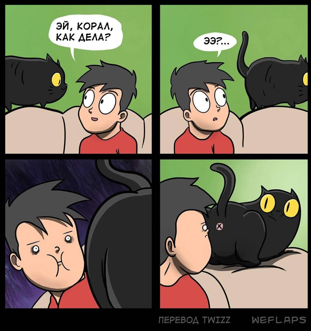 19 comics that demonstrate that life with a cat is a separate profession - cat, Comics, Longpost