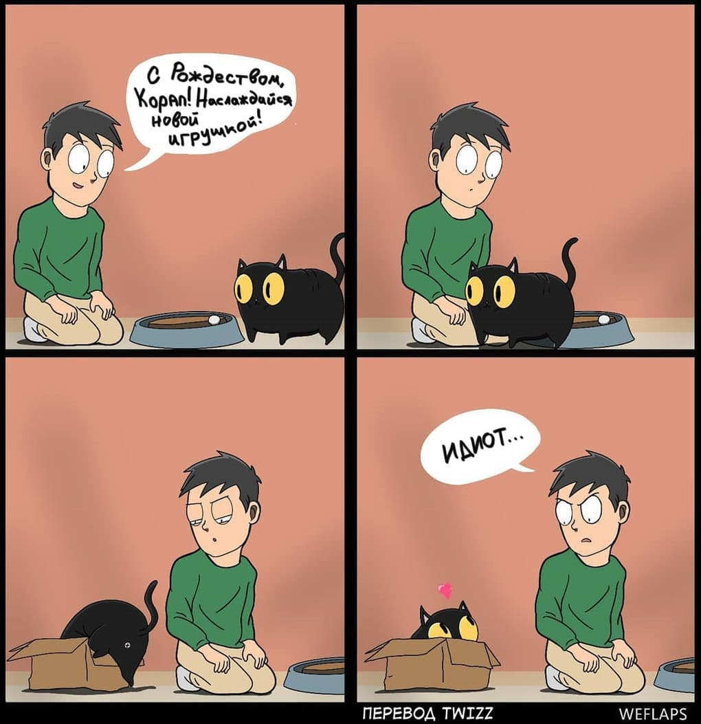 19 comics that demonstrate that life with a cat is a separate profession - cat, Comics, Longpost