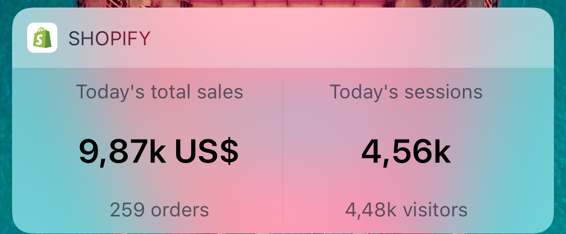 I earned more than a million rubles at 18, 19 and 23 years old. Write your questions - My, Entrepreneurship, Business, Startup, Earnings, America, Amazon, Shopify