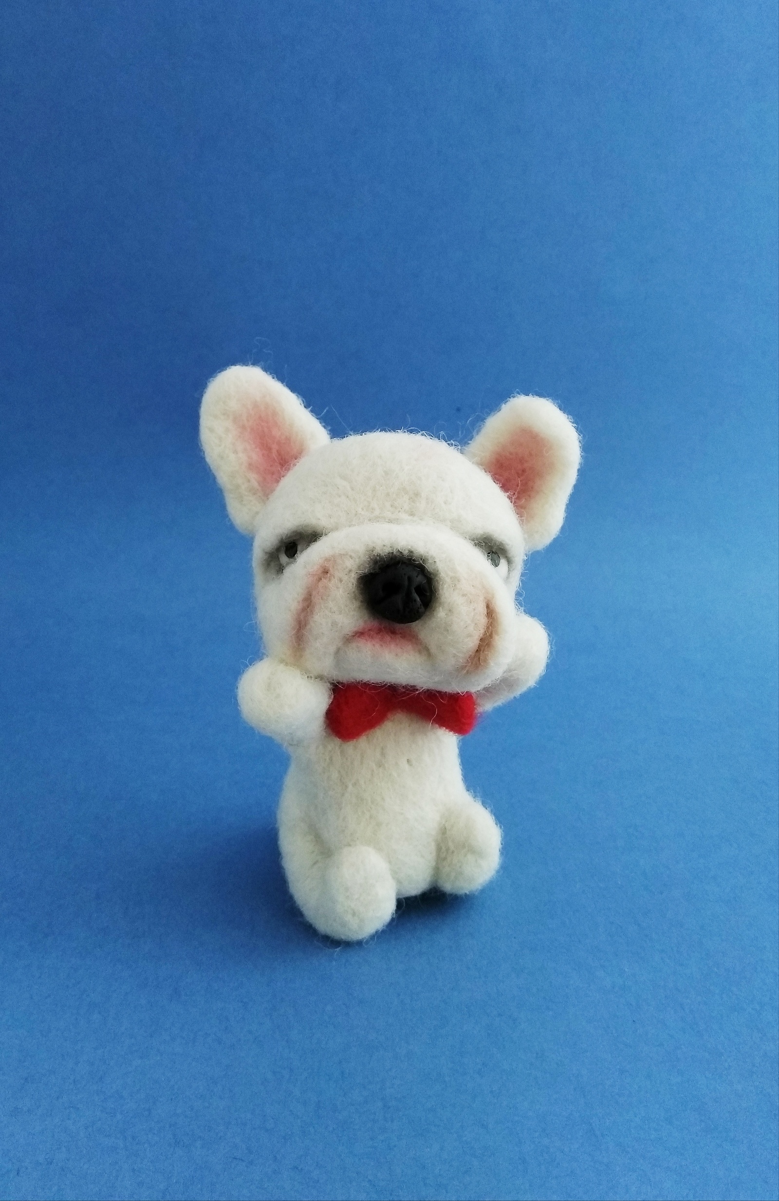 French Bulldog - My, Needlework without process, Author's toy, French Bulldog, Bulldog, Dry felting, Longpost