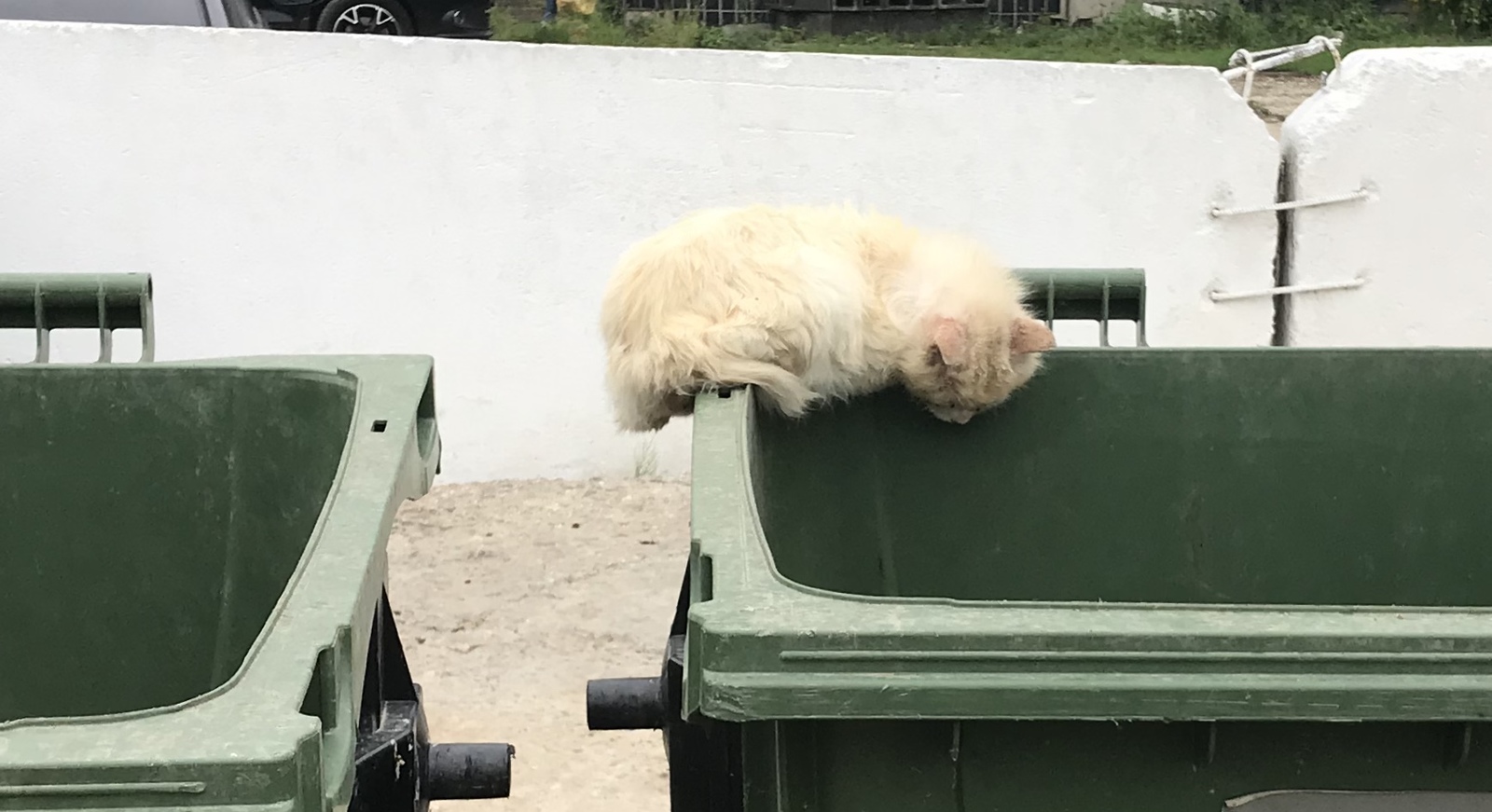 The second cap of a coward from the Prisoner of the Caucasus - My, Cap, Caucasian captive, Mat, Trash heap, It seemed, Longpost