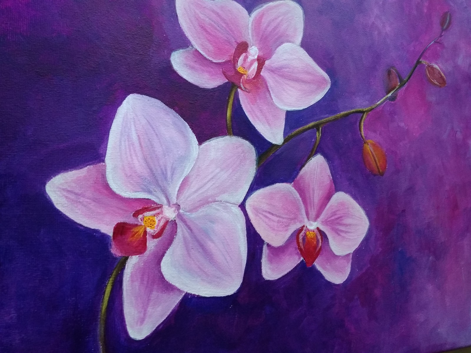 Orchids. Canvas, acrylic - My, Orchids, Flowers, Creation, Painting, Painting, Acrylic