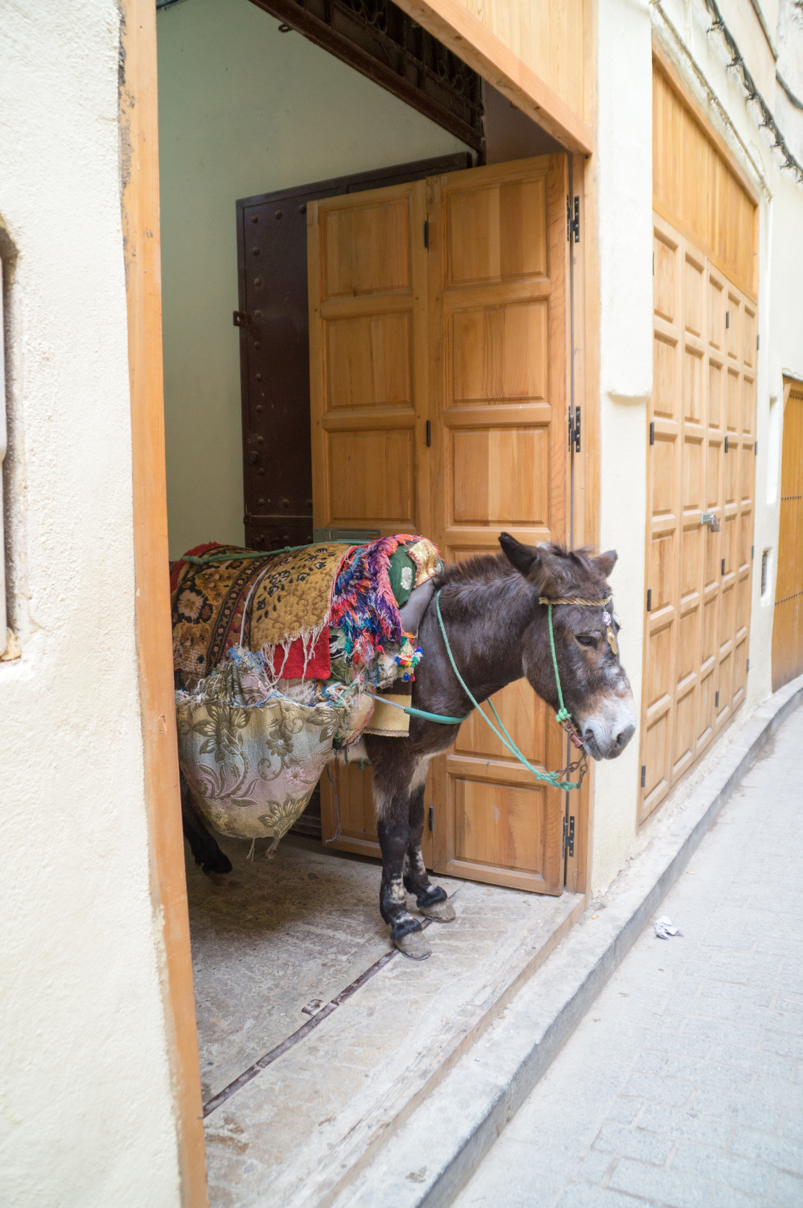 Travel in Morocco. - My, Morocco, Travels, The photo, Longpost, Bazaar