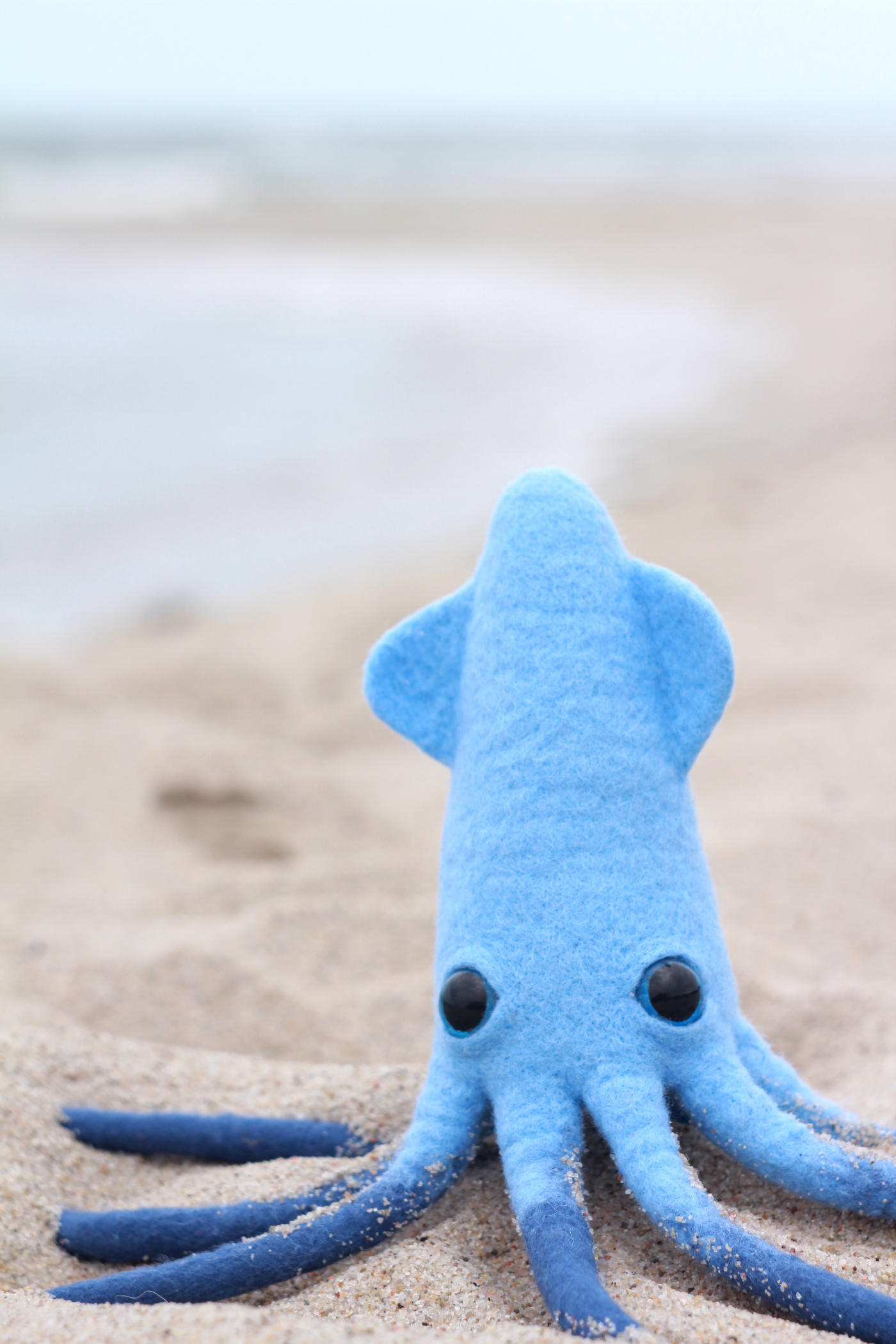 Sea animals. Author's toys in the technique of wet felting. - My, Dry felting, Wallow, Handmade, Author's toy, Marine life, Octopus, Crab, Longpost