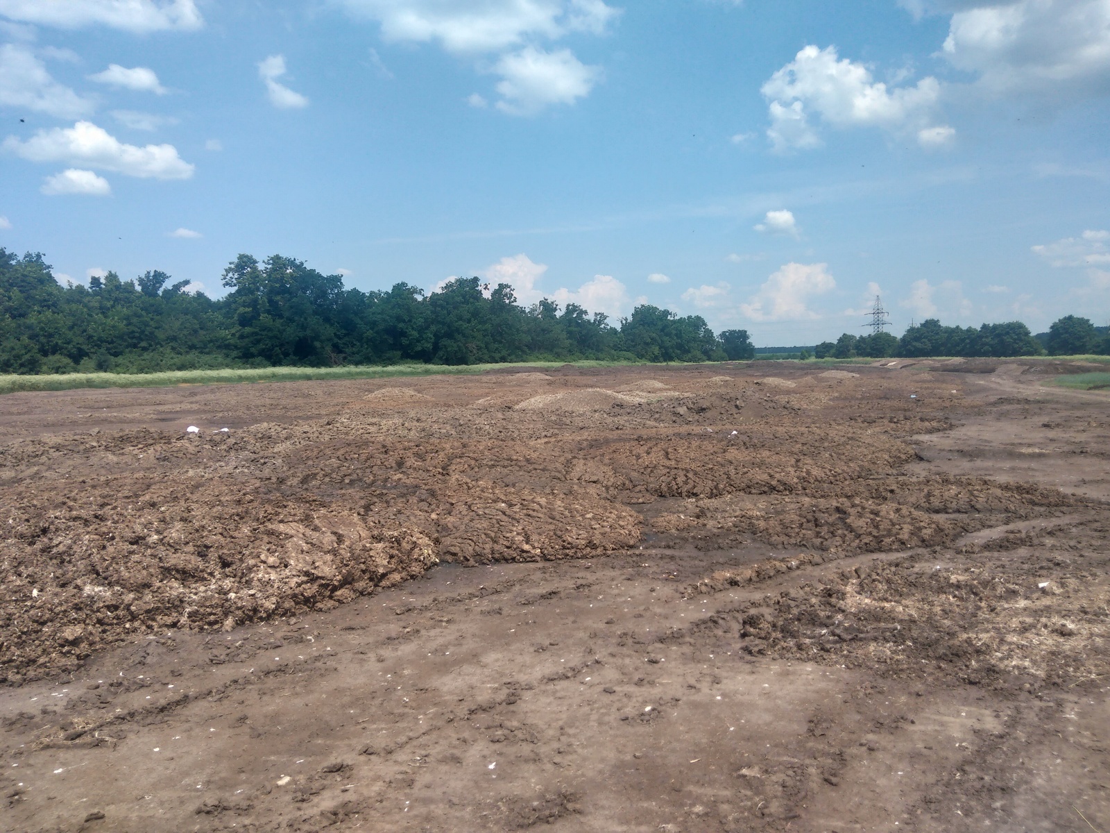 How the Lipetsk poultry farm destroys nature - My, Lipetsk, , Poultry farm, The nature of Russia, Video, Longpost, Village, Poultry farm