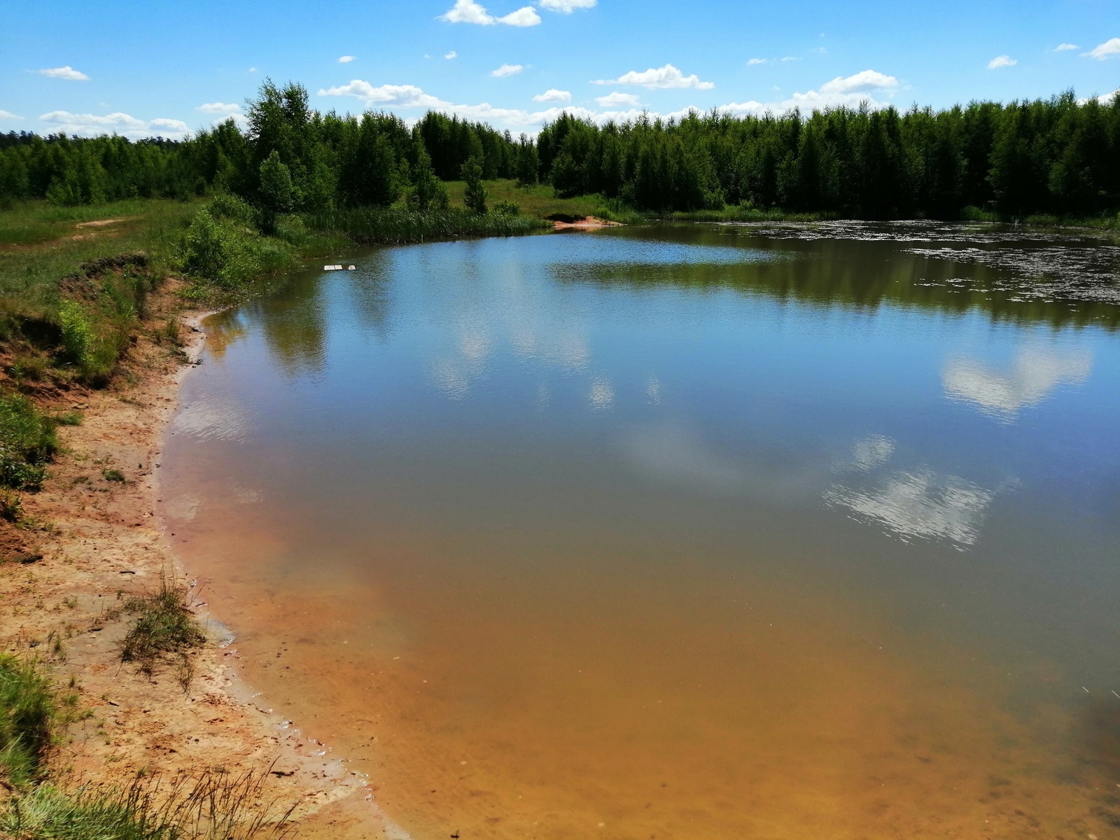 Pond cleaning - My, South, Southerners, Chistoman, Pond, Longpost