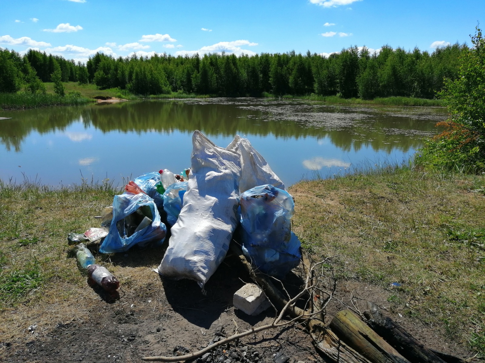 Уборка на пруду - Моё, Южа, Южане, Чистомэн, Пруд, Длиннопост