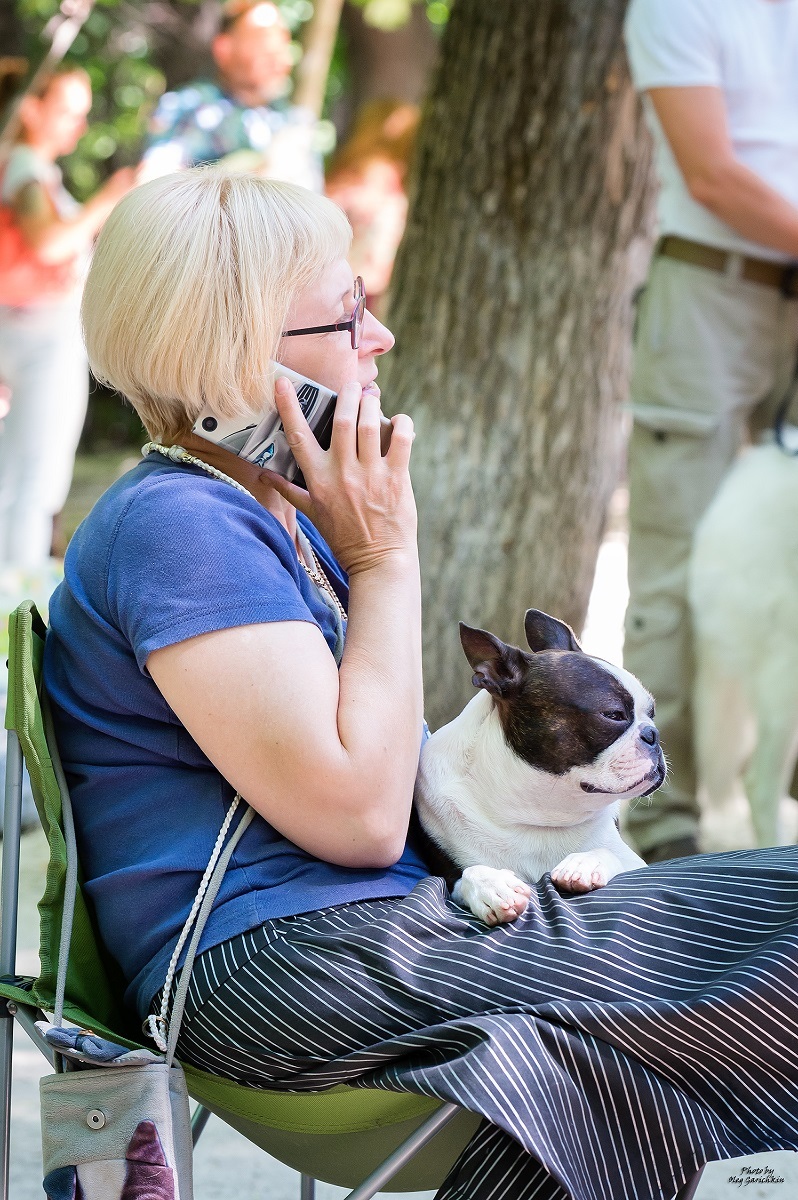 I continue to publish reportage pictures from dog shows that took place in the South of Russia in 2018, pleasant viewing))) - My, Dog, Dogs and people, Dog show, Dog days, Dog lovers, Animalistics, Longpost