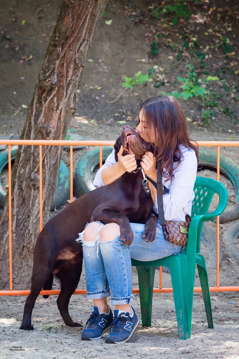 I continue to publish reportage pictures from dog shows that took place in the South of Russia in 2018, pleasant viewing))) - My, Dog, Dogs and people, Dog show, Dog days, Dog lovers, Animalistics, Longpost