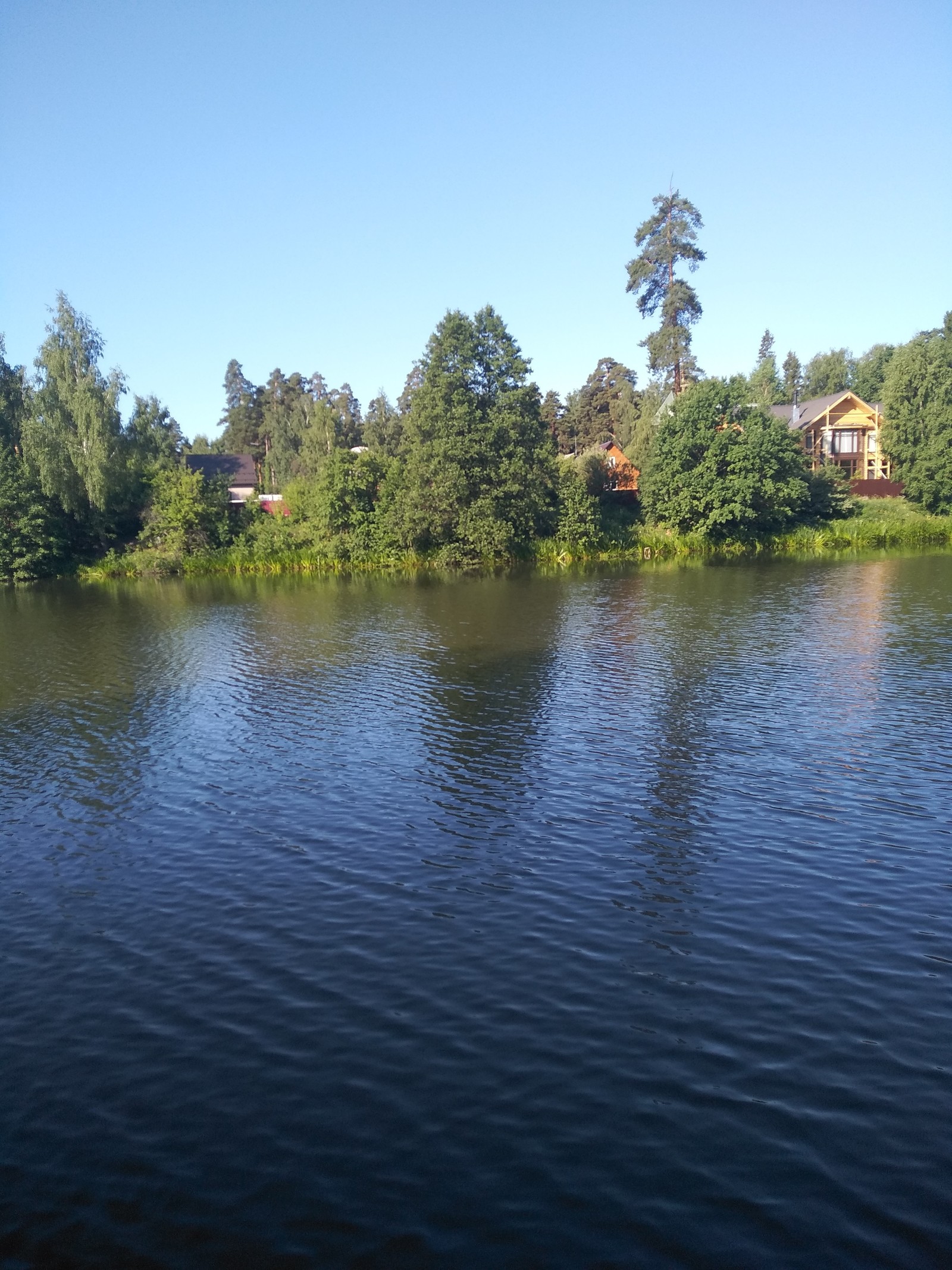 Morning walk - My, Forest, Walk in the woods, Nature, Health, Lake, Weekend, Longpost