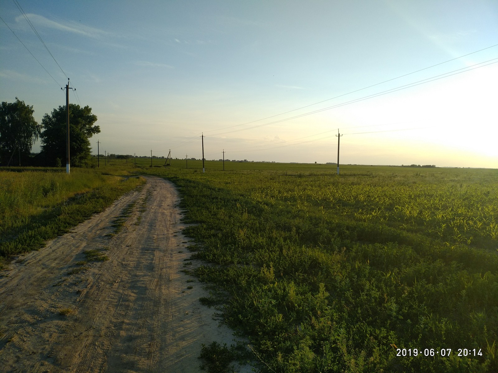 And again field Belarus) - My, Polyushko field, Nature, Village, Longpost