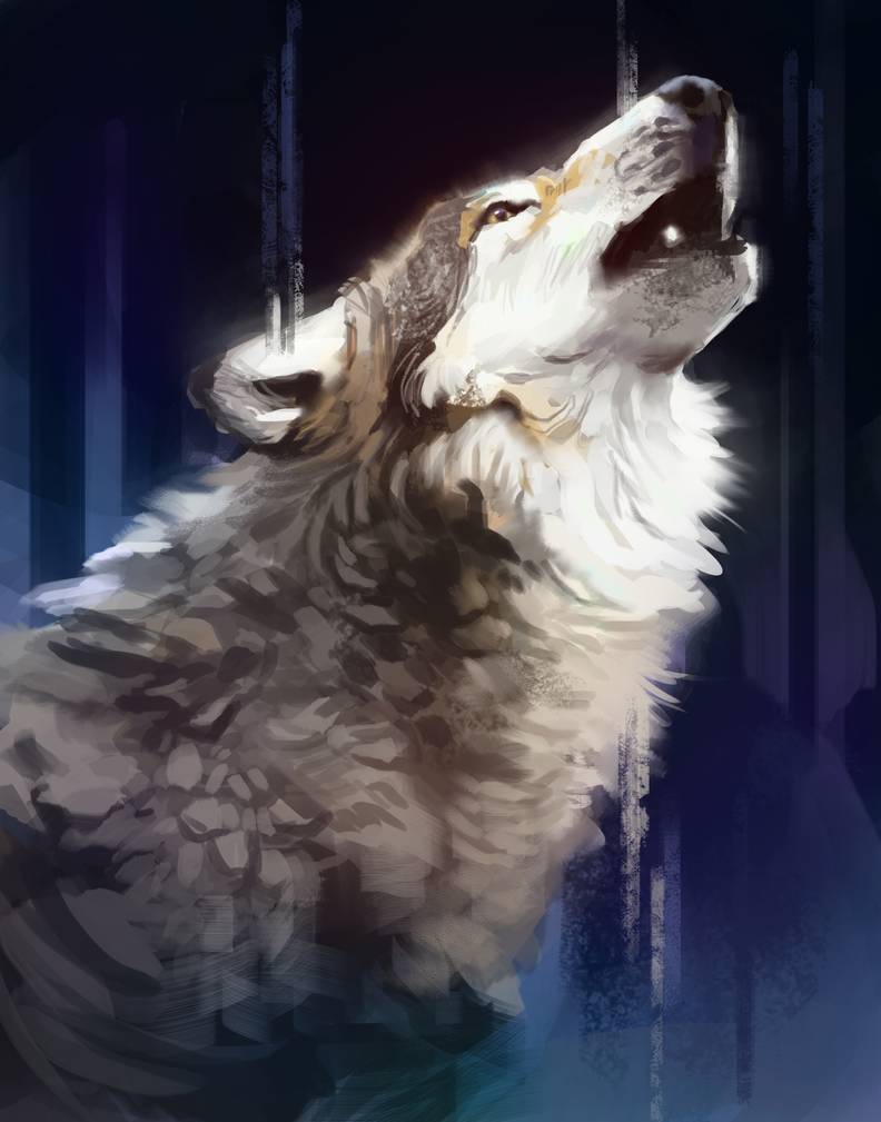 Wolf Speed Painting - Wolf, Animals, Art, 