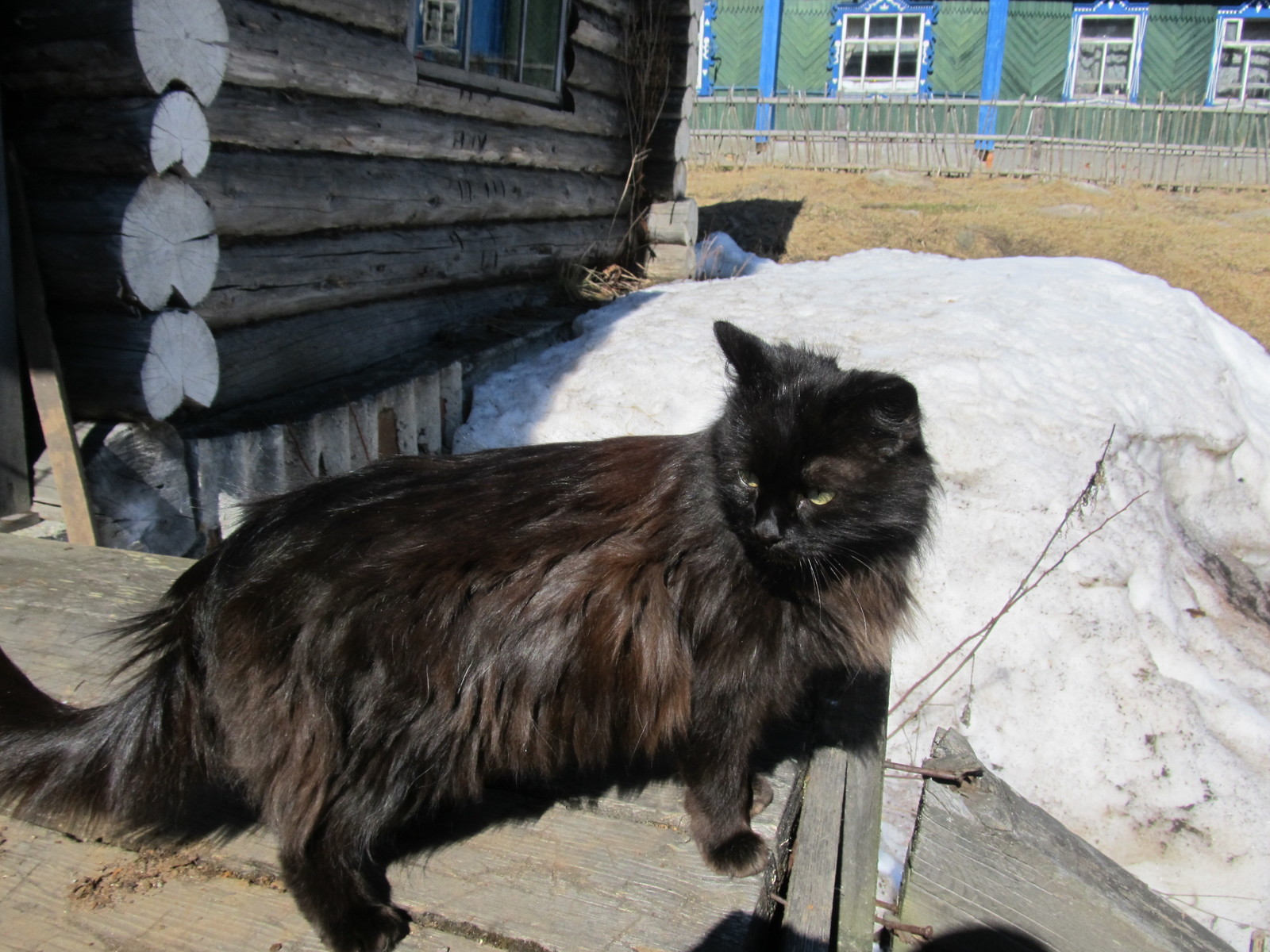 Ural is completely different - My, Ural, Southern Urals, Taganay National Park, Longpost, The photo, Travel across Russia, Chelyabinsk, Tourism