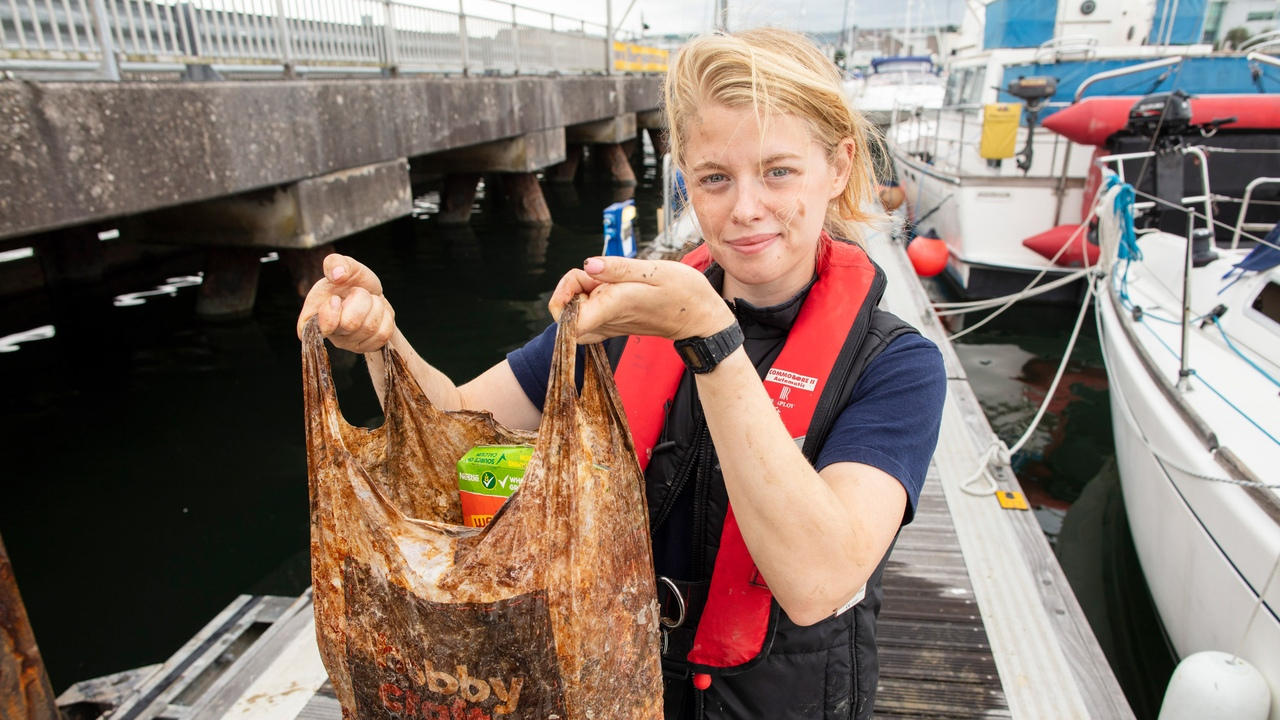 Why biodegradable bags are not an option - Package, Ecology, Plastic, Biodegradable package, Zero waste