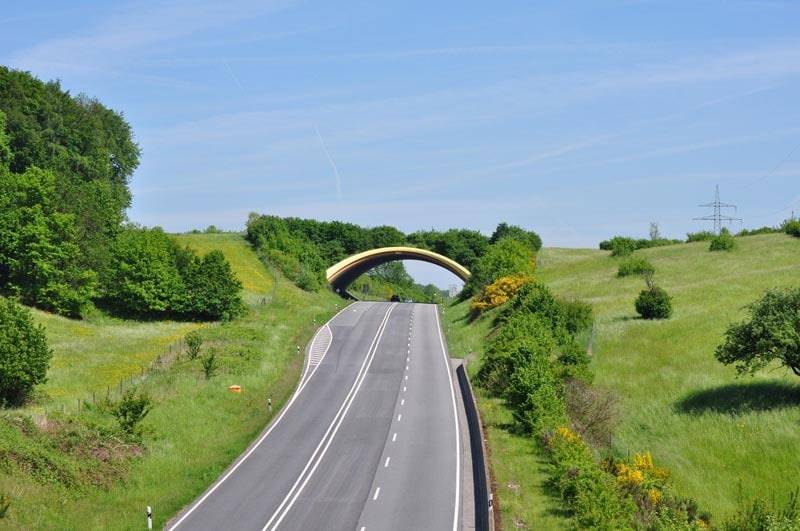 15 bridges that protect wildlife from people and their cars - Bridge, Ecoduct, wildlife, Safety, The photo, Road, Longpost