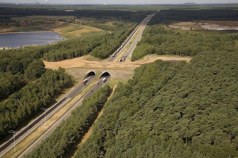 15 bridges that protect wildlife from people and their cars - Bridge, Ecoduct, wildlife, Safety, The photo, Road, Longpost