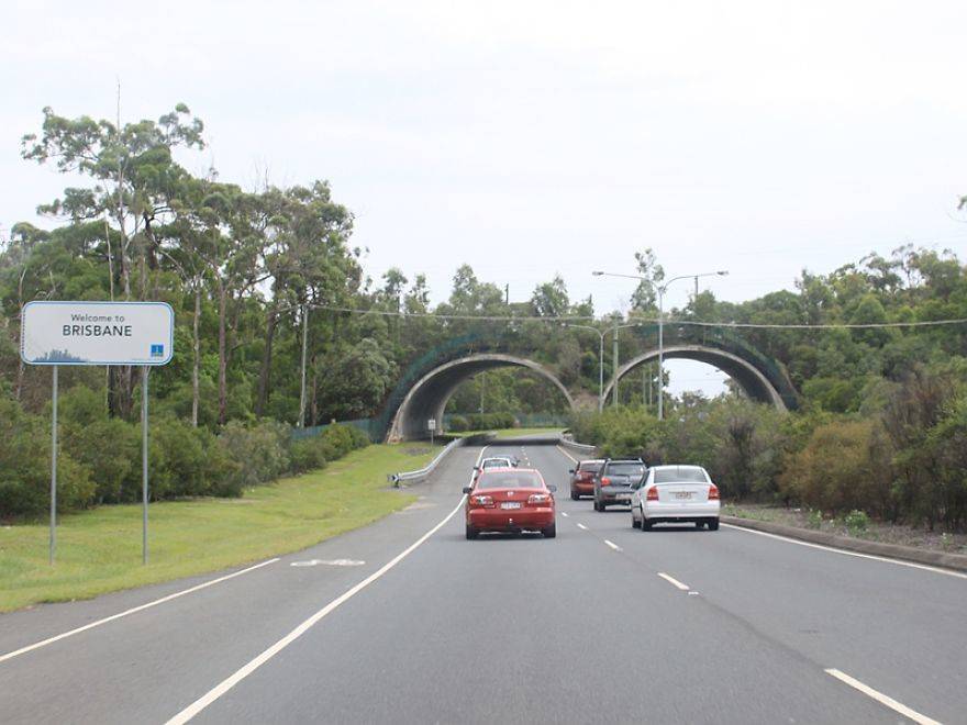 15 bridges that protect wildlife from people and their cars - Bridge, Ecoduct, wildlife, Safety, The photo, Road, Longpost