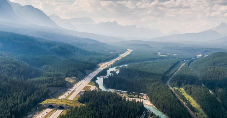 15 bridges that protect wildlife from people and their cars - Bridge, Ecoduct, wildlife, Safety, The photo, Road, Longpost