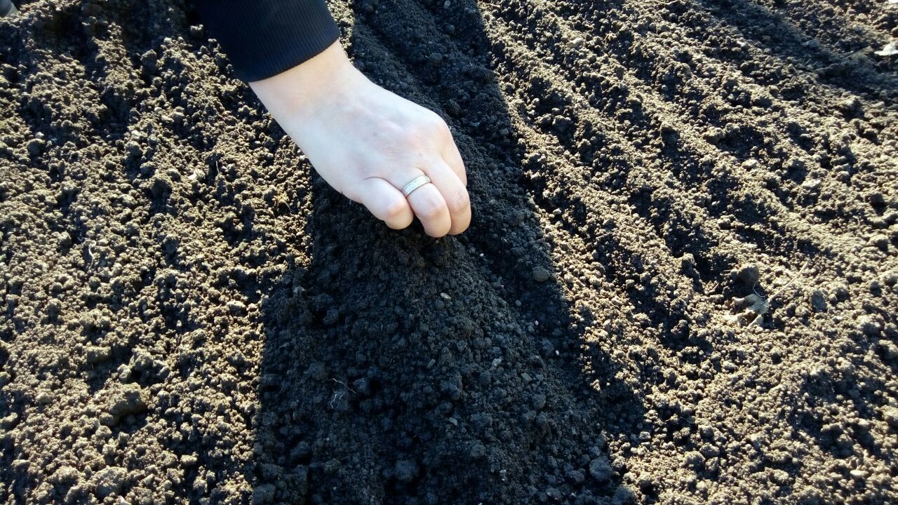 I saw an unusual rake from a neighbor, I decided to make one for myself - My, Gardening, Dacha, Favorite dacha, Rake, With your own hands, Yandex Zen, GIF, Longpost