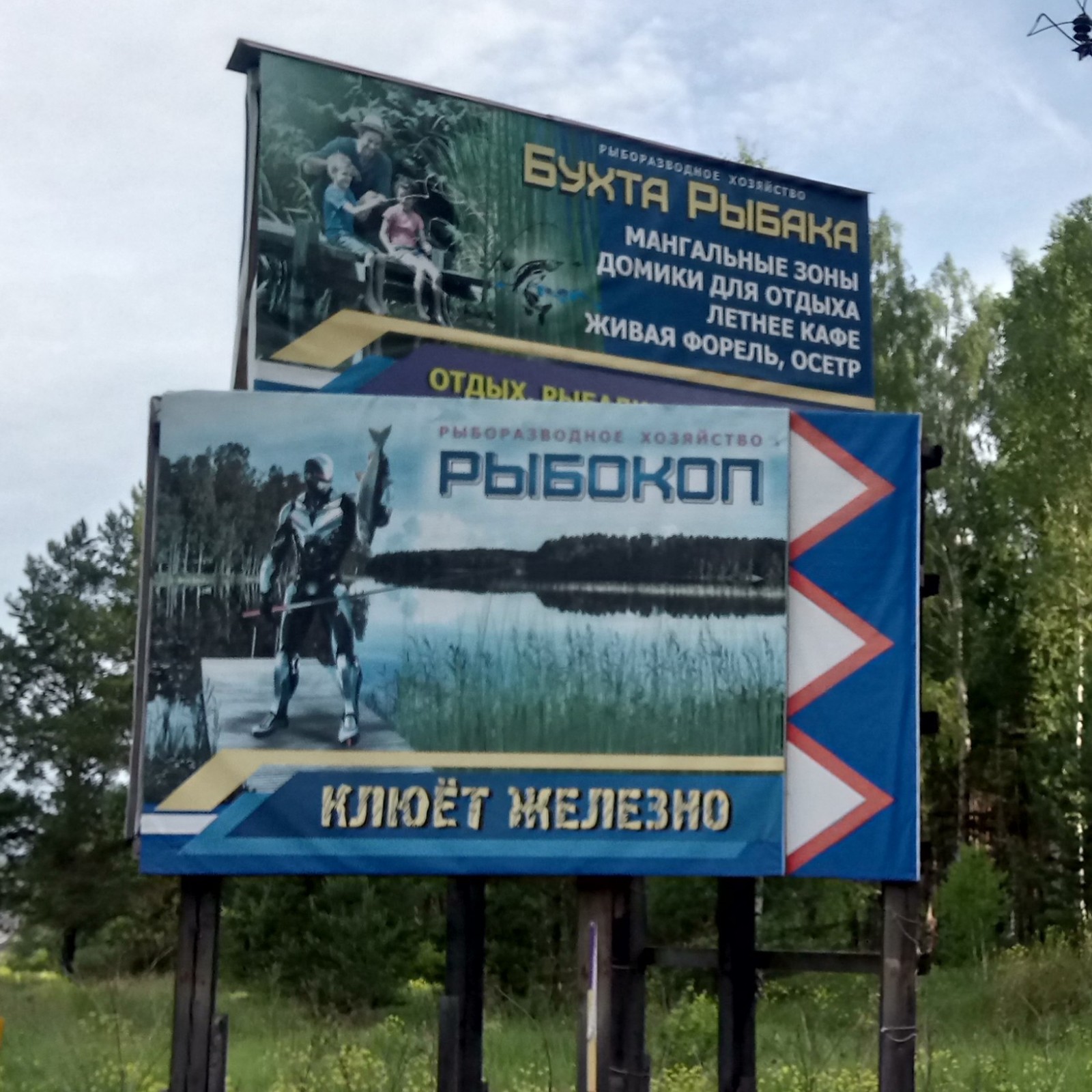 Chelyabinsk region, Miass - My, Fishing, Chelyabinsk region, 