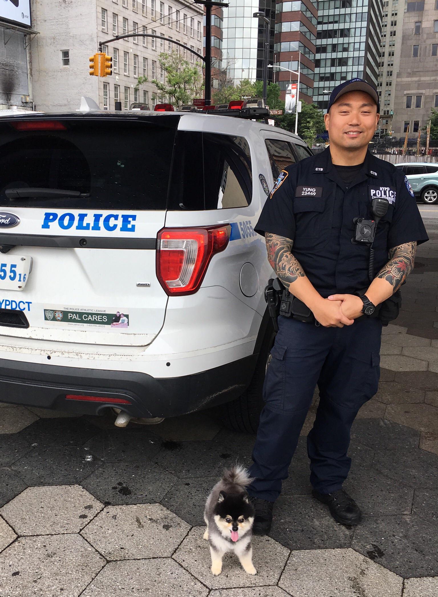 New York Squad K9: Jung and Fierce - Dog, Police, Milota, New York