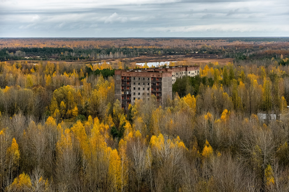 Pripyat today - Pripyat, Chernobyl, The photo, Longpost, Chernobyl