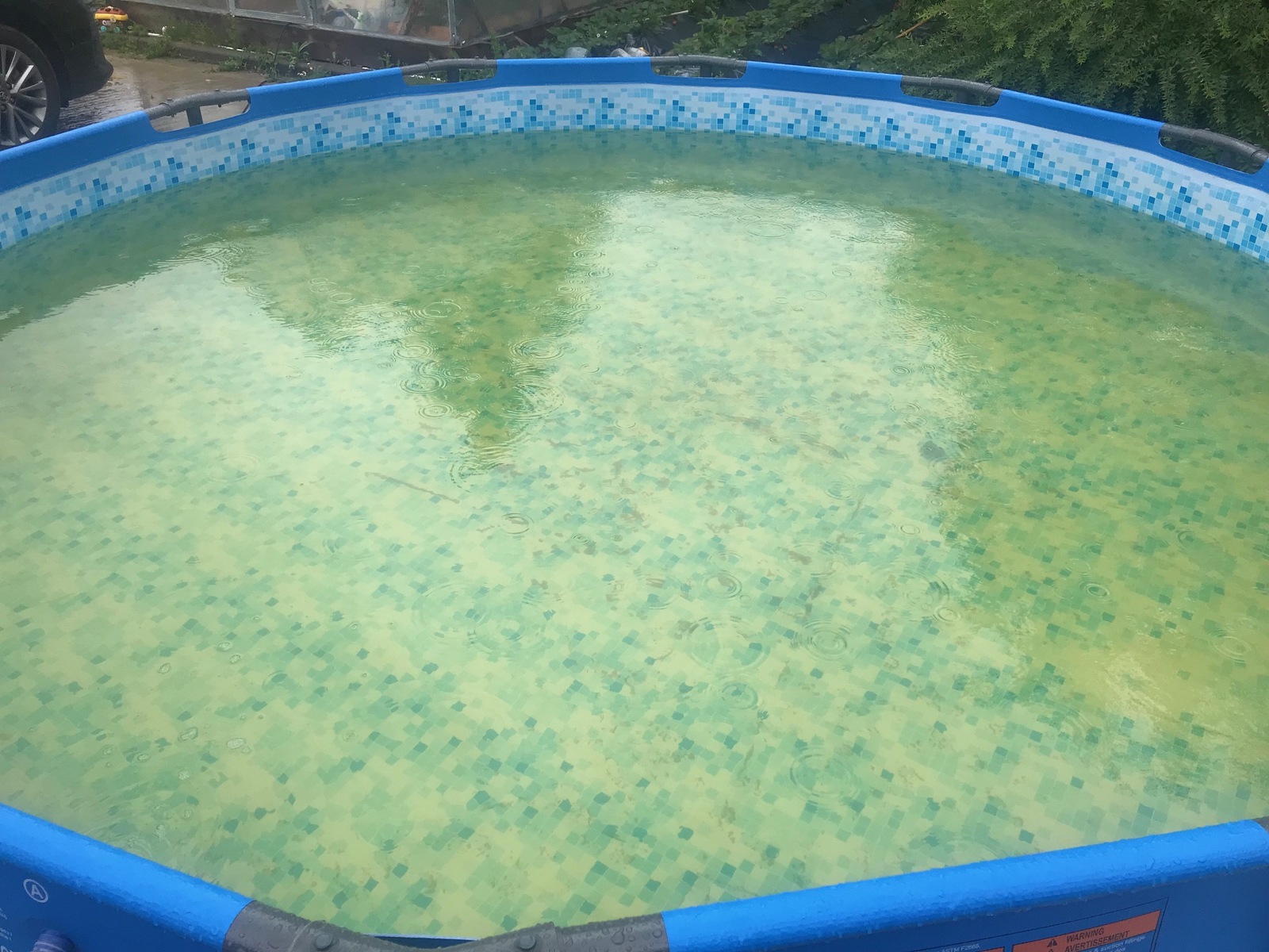 Swimming pool continued... - My, Swimming pool, Frame pool, The best way, Filter, , Water purification, Video, Longpost, Filtration