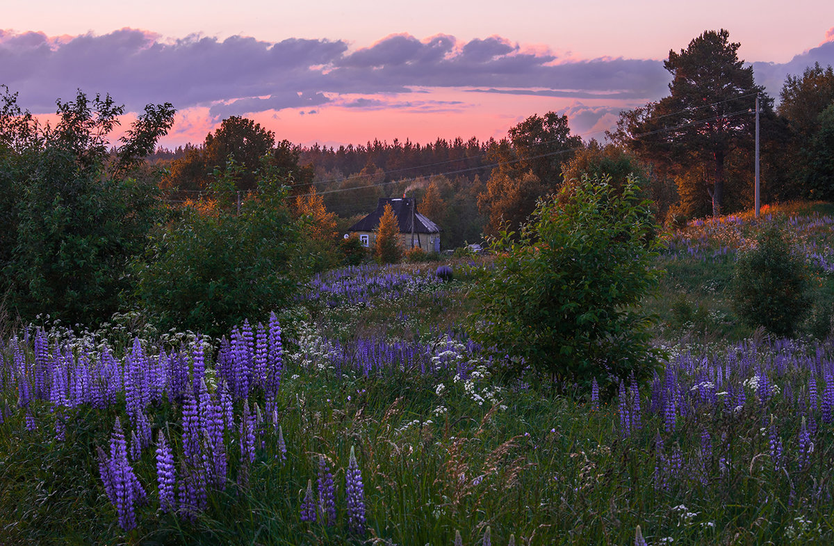 Summer evening in the village - Russia, Village, Nature, The photo, Summer, Longpost