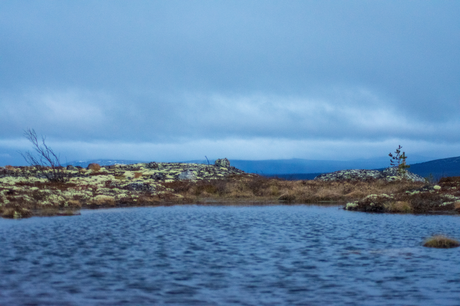 Mount Kyume Tundra - My, Kovdor, Murmansk region, Seid, The mountains, Hike, Longpost