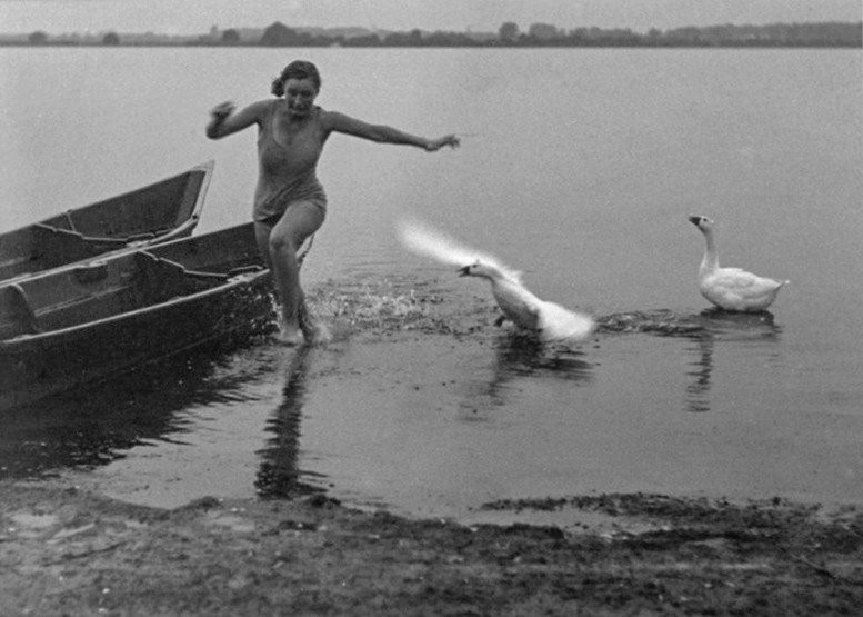 Save yourself, baby! - Swan geese, River, Beautiful girl