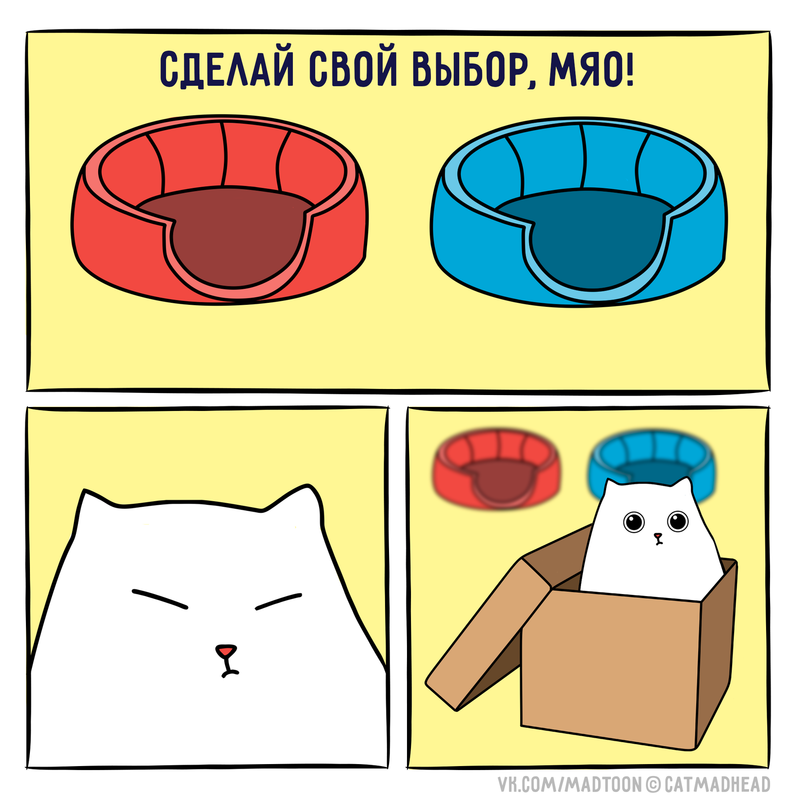 Make your choice, Miao! - My, cat, Catomafia, Comics, Neo, Box