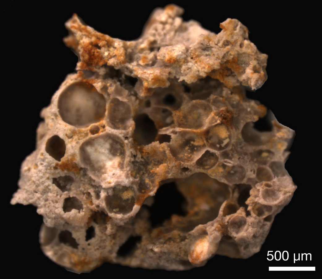 Fossilized oxygen bubbles - Paleontology, The science, , Copy-paste, Elementy ru, Longpost, Fossils, Oxygen, Stromatolites