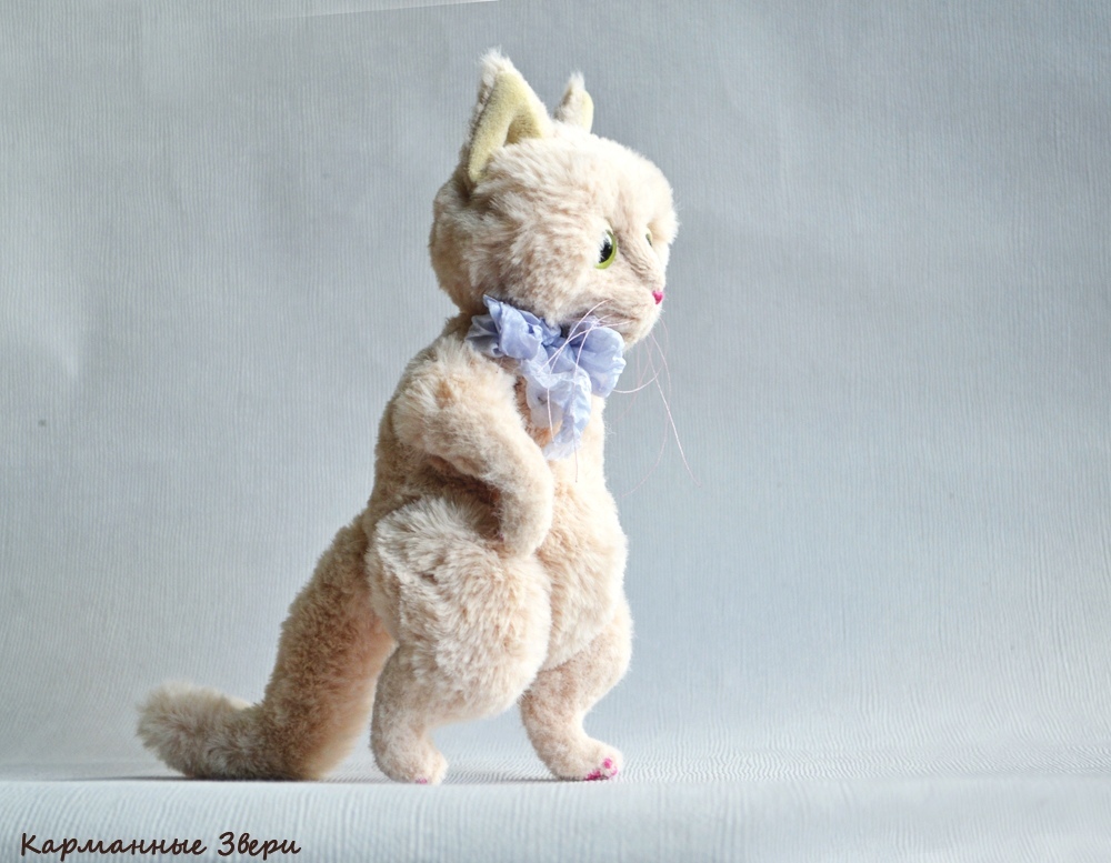 Julius cat - My, Pocket animals, Handmade, Author's toy, Needlework without process, Longpost, cat