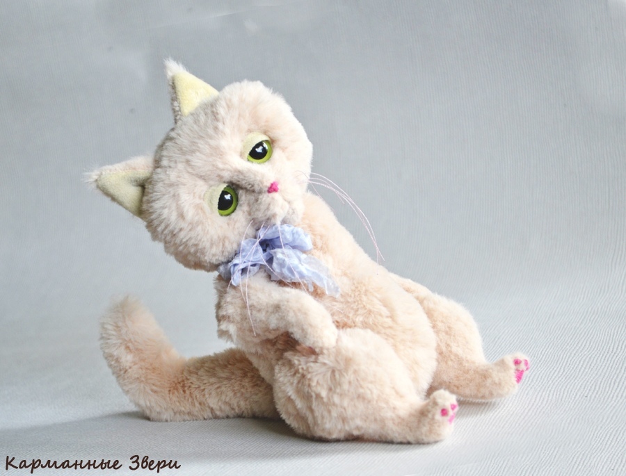 Julius cat - My, Pocket animals, Handmade, Author's toy, Needlework without process, Longpost, cat